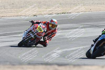 media/Nov-01-2025-CVMA (Sat) [[fc0f7531b8]]/Race 9-Amateur Supersport Middleweight/